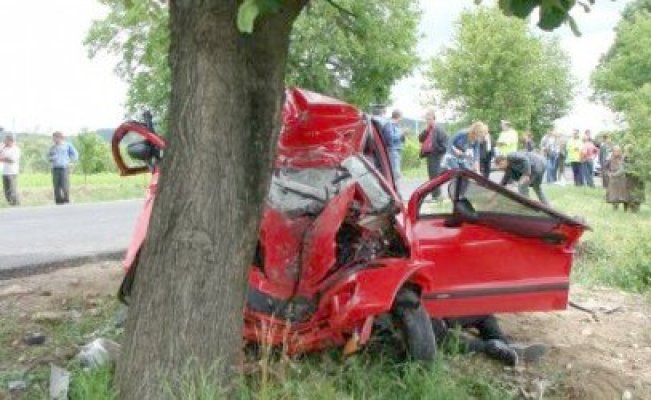 A intrat cu Matizul în copac